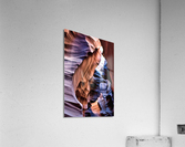 antelope08 Acrylic Print