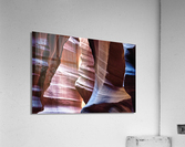 antelope06 Acrylic Print