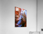 antelope17 Acrylic Print