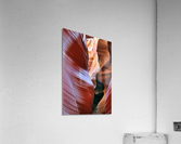 antelope12 Acrylic Print