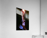 antelope11 Acrylic Print