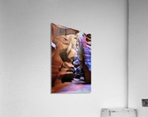 antelope19 Acrylic Print