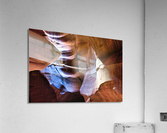 antelope03 Acrylic Print