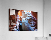 antelope02 Acrylic Print