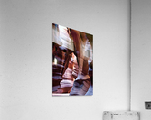 antelope05 Acrylic Print