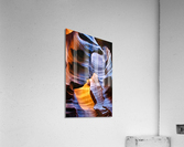 antelope23 Acrylic Print