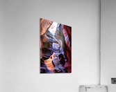 antelope07 Acrylic Print
