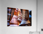 antelope22 Acrylic Print
