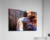 antelope04 Acrylic Print