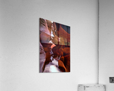 antelope10 Acrylic Print