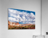 capreef44 Acrylic Print