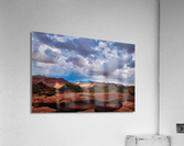 capreef52 Acrylic Print