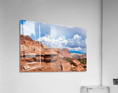 capreef38 Acrylic Print