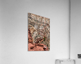 capreef48 Acrylic Print