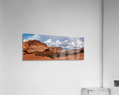 capreef36 Acrylic Print