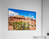 capreef46 Impression acrylique