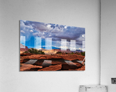 capreef51 Acrylic Print