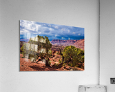 capreef39 Impression acrylique