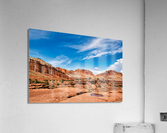 capreef35 Acrylic Print