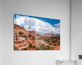 capreef31 Acrylic Print