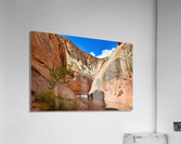 Grand Wash Acrylic Print