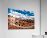 capreef34 Acrylic Print