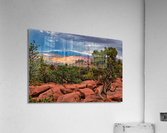 capreef53 Acrylic Print