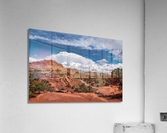 capreef32 Acrylic Print