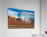 capreef54 Acrylic Print