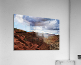 capreef49 Acrylic Print