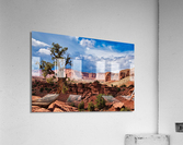 capreef42 Acrylic Print