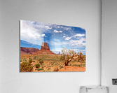 Monument5 Acrylic Print