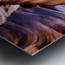 antelope08 Metal print