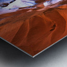 antelope17 Metal print