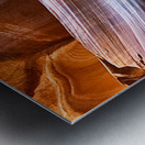 antelope14 Metal print