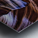 antelope01 Metal print