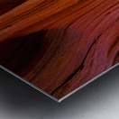 antelope13 Metal print