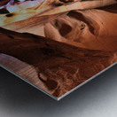 antelope19 Metal print