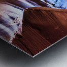 antelope03 Metal print