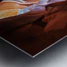 antelope02 Metal print