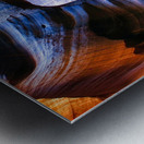 antelope23 Metal print