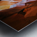 antelope16 Metal print