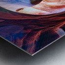 antelope20 Metal print