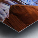 antelope18 Impression metal