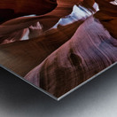 antelope10 Metal print