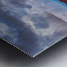 capreef52 Metal print