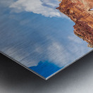 capreef38 Metal print