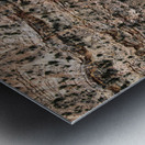 capreef48 Metal print