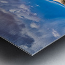 capreef51 Metal print