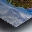 capreef39 Impression metal